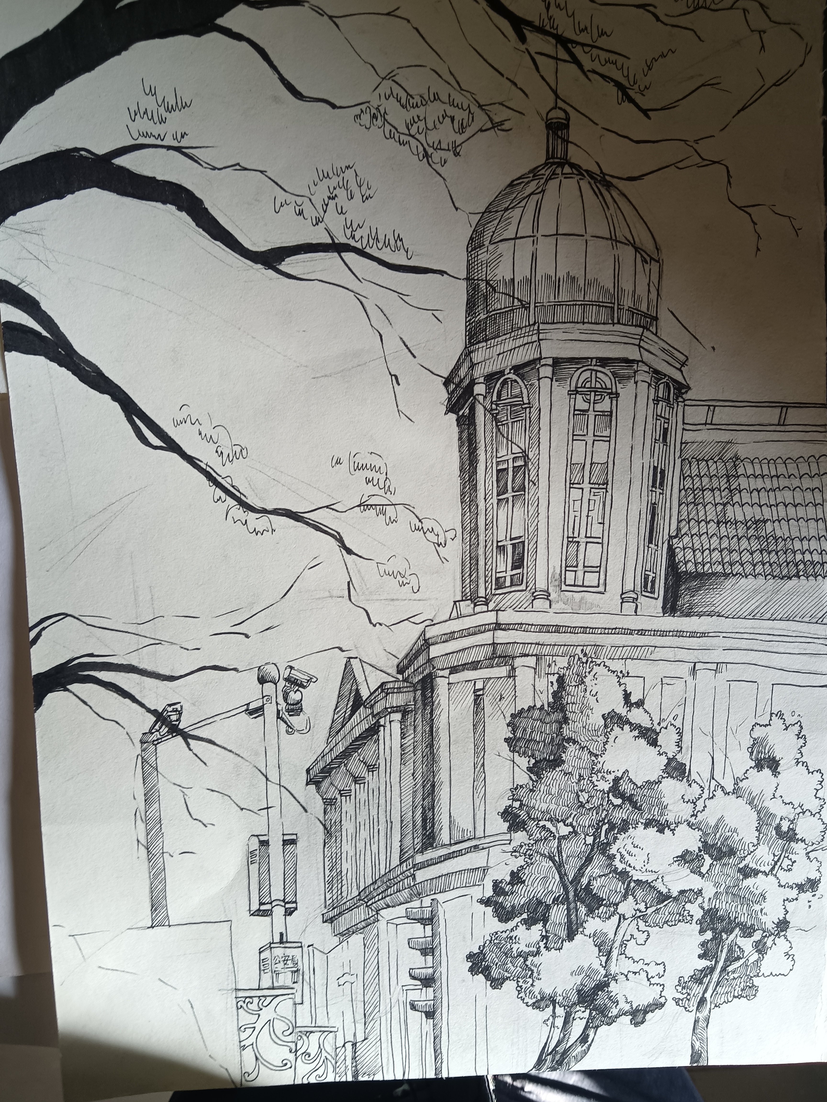 见行见效津彩绽放活动参赛作品天津一角